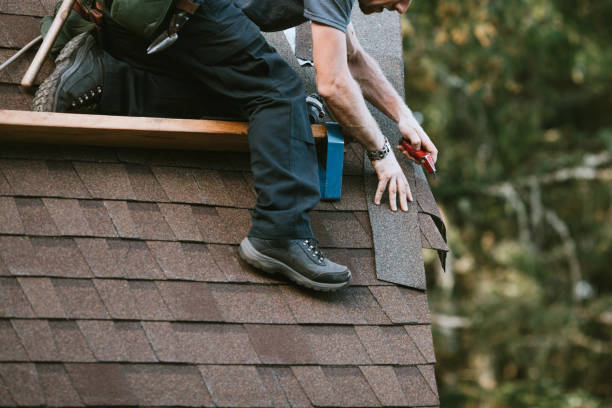 Best Roof Gutter Cleaning  in Oxon Hill, MD